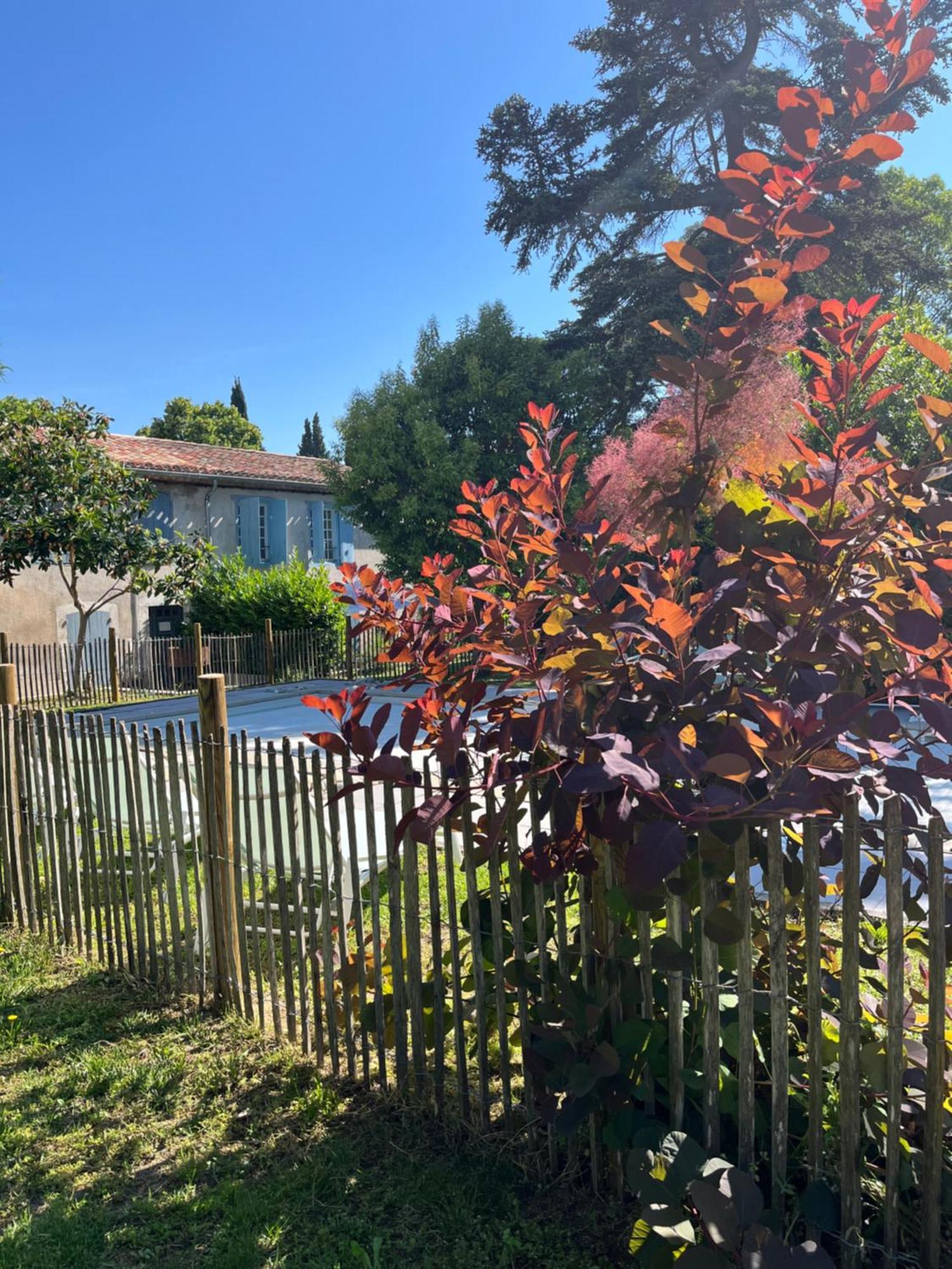 L'Oree De La Cite Carcassonne Zewnętrze zdjęcie