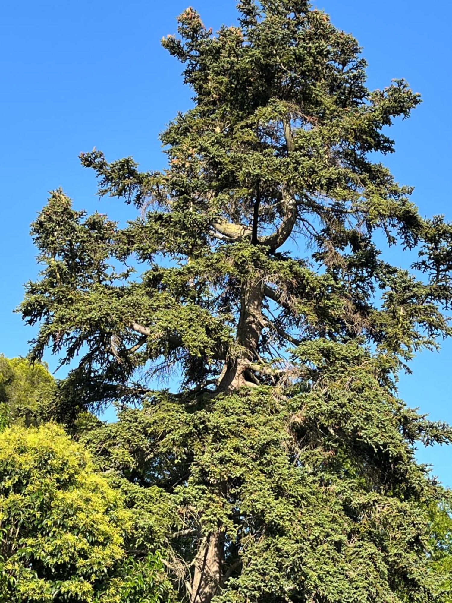 L'Oree De La Cite Carcassonne Zewnętrze zdjęcie