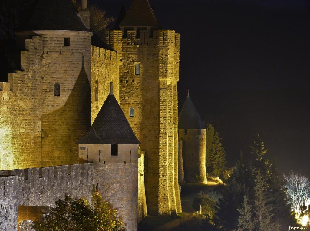 L'Oree De La Cite Carcassonne Zewnętrze zdjęcie